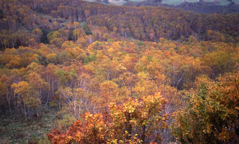 四阿山