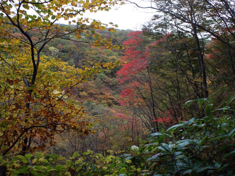 霧降高原