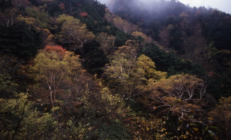 徳本峠