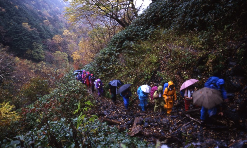 徳本峠