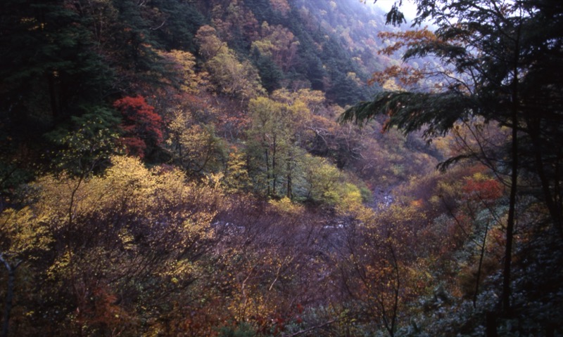 徳本峠