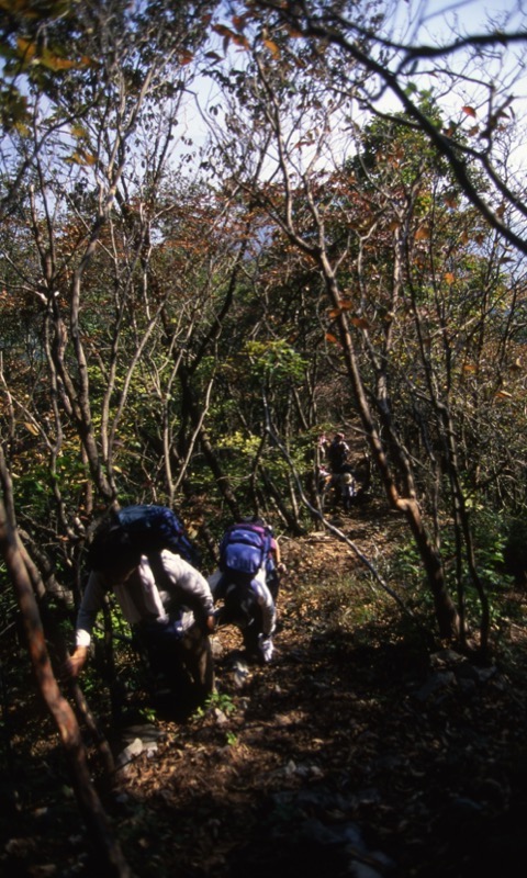 子持山