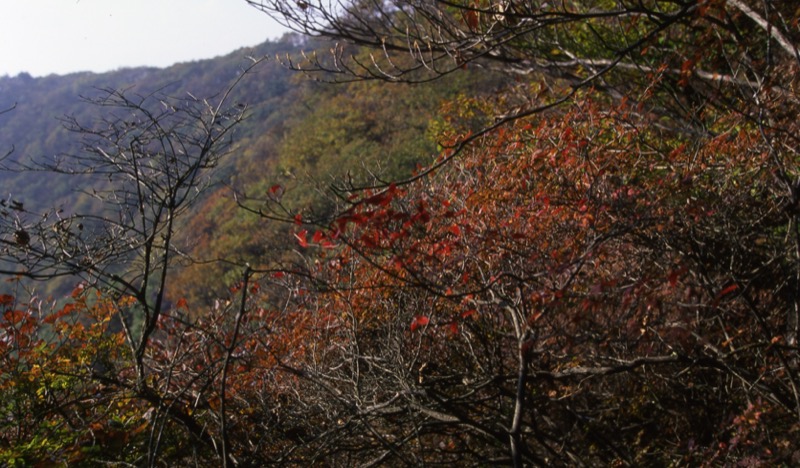 子持山