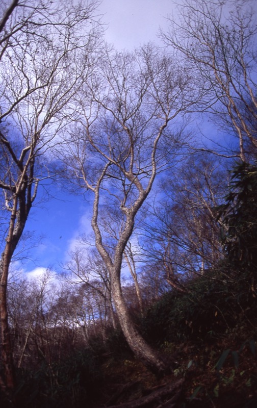 妙高山