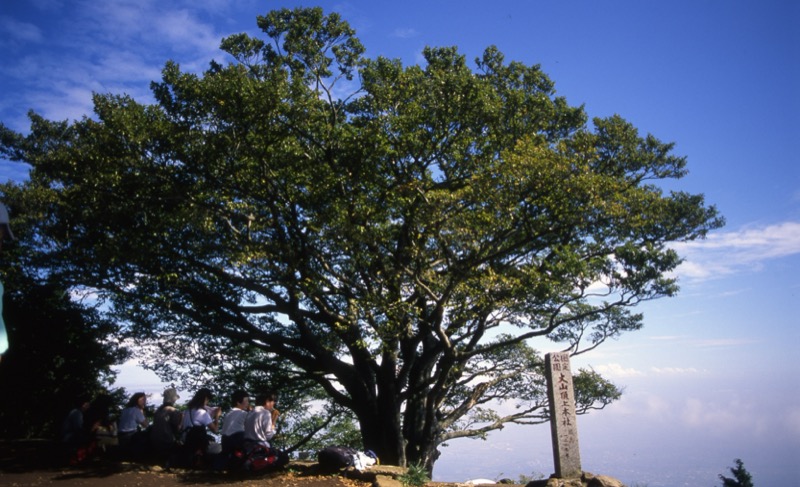 丹沢・大山