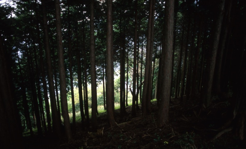 丹沢・大山