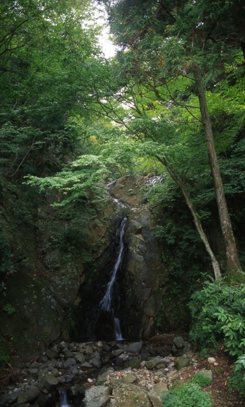 丹沢・大山