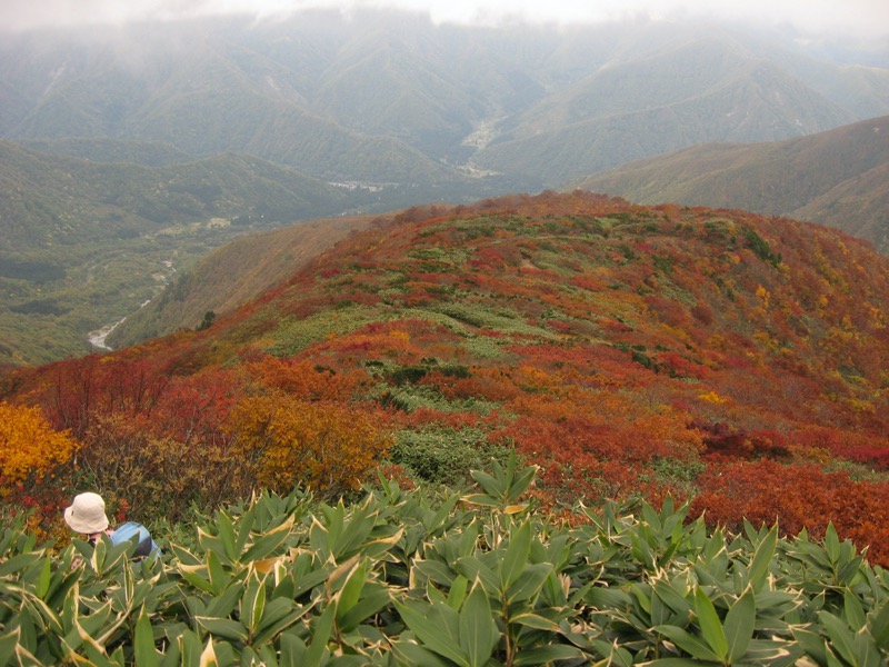 巻機山