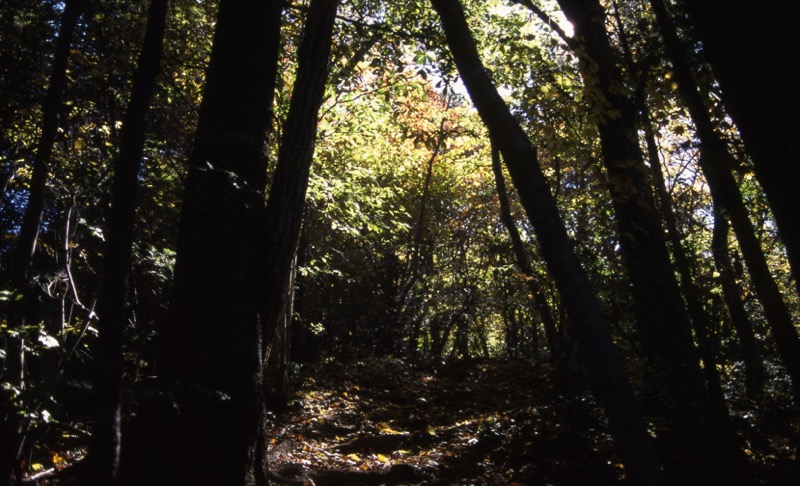 三ッ峠山