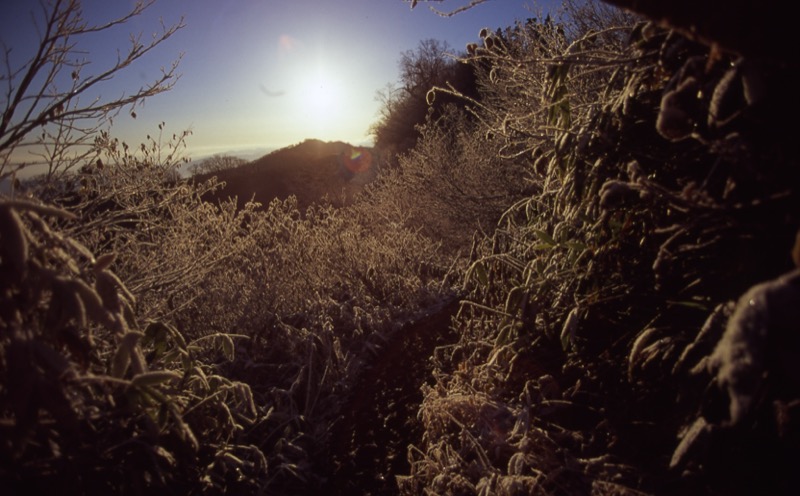 妙高山