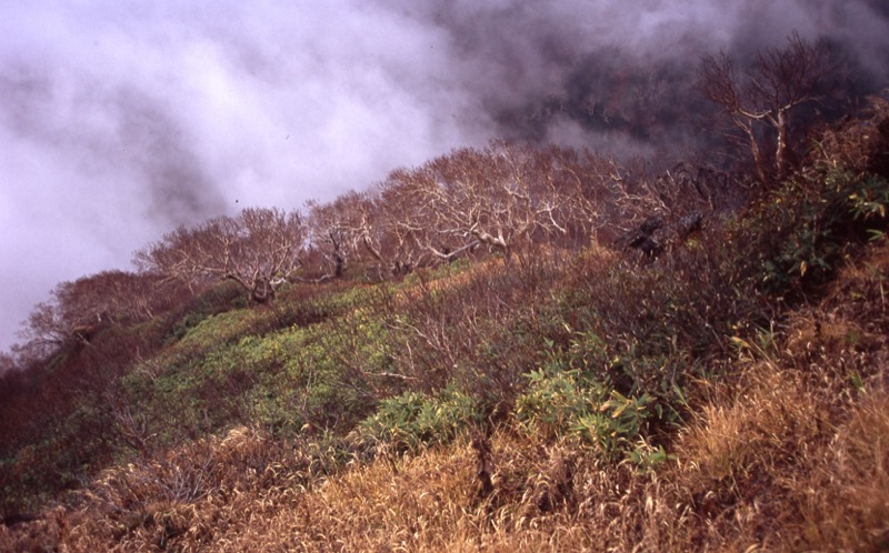 妙高山