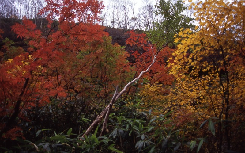 妙高山