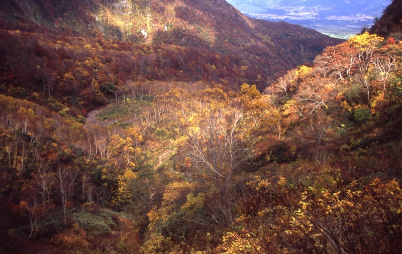 妙高山