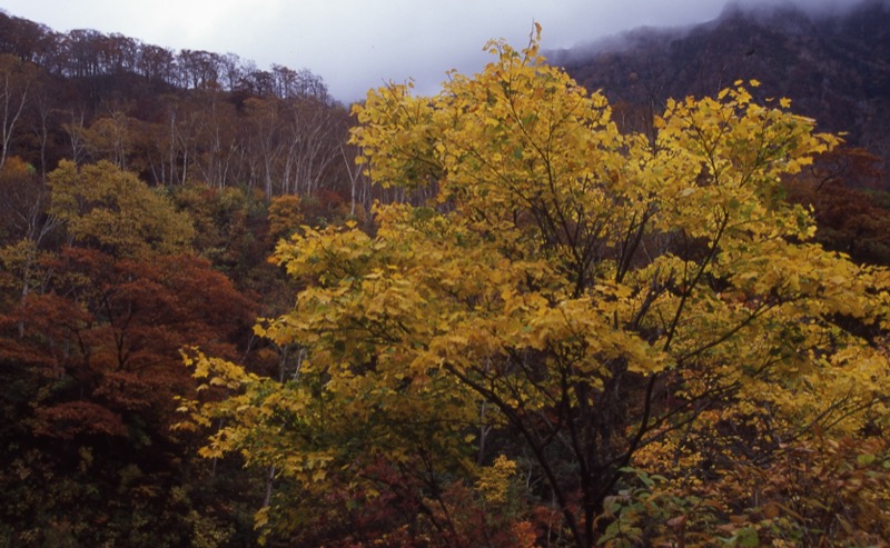 妙高山