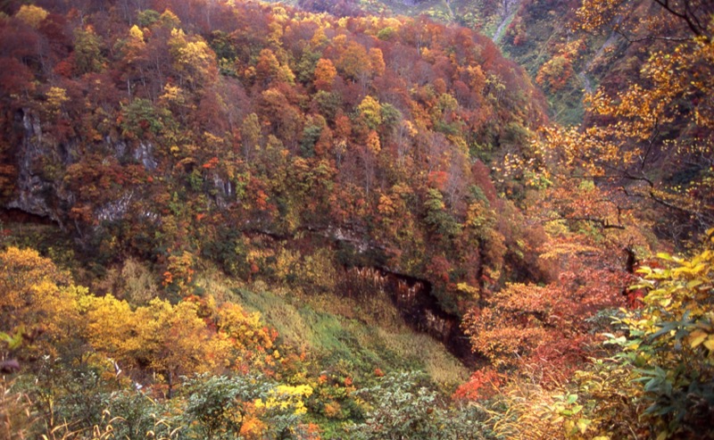 妙高山