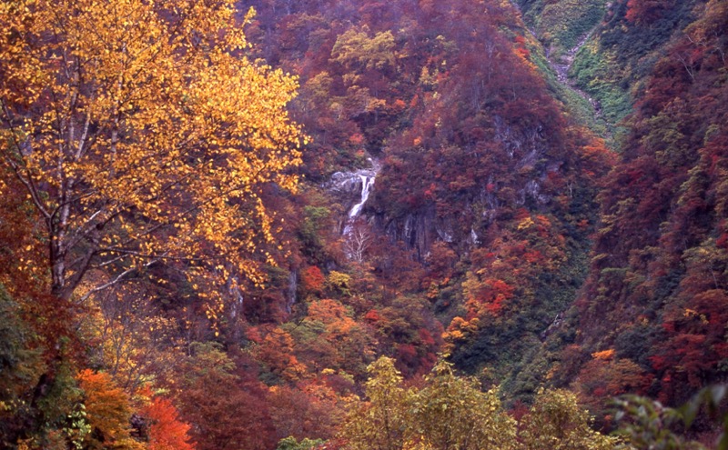 妙高山