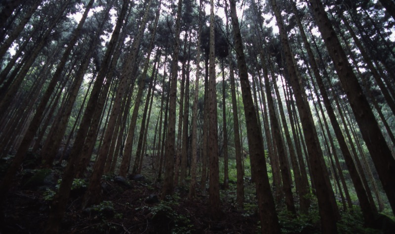 子持山