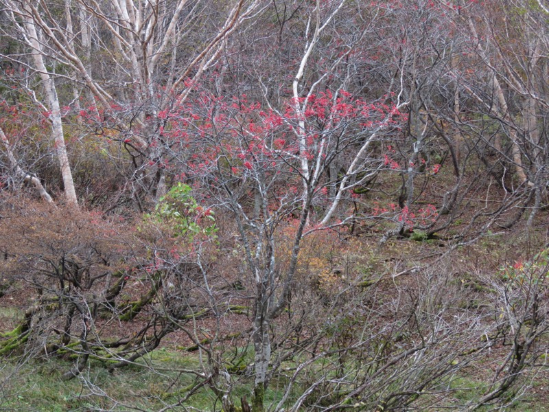 那須岳