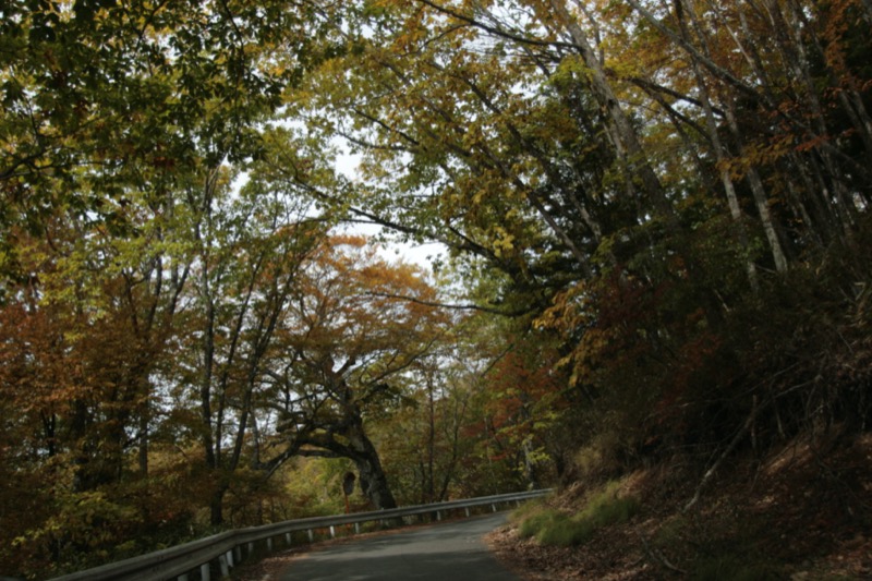 金峰山