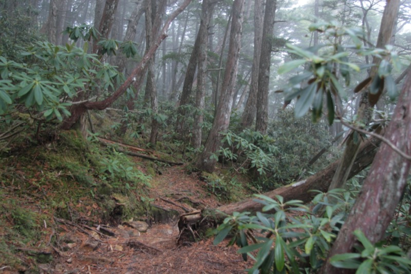 金峰山