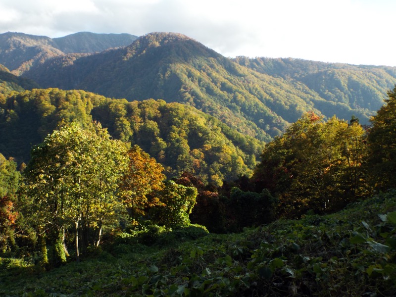 雨飾山