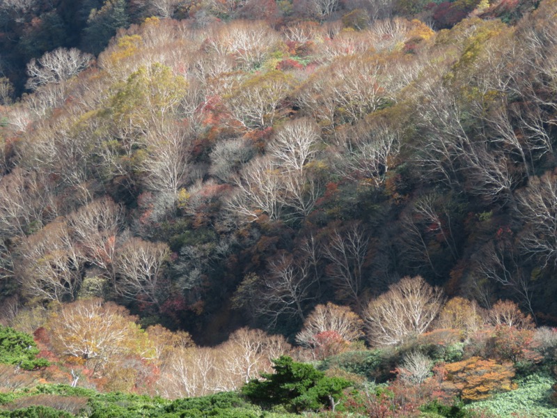 那須岳