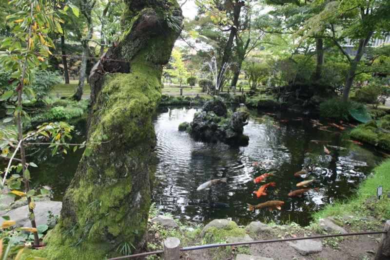 高峰高原