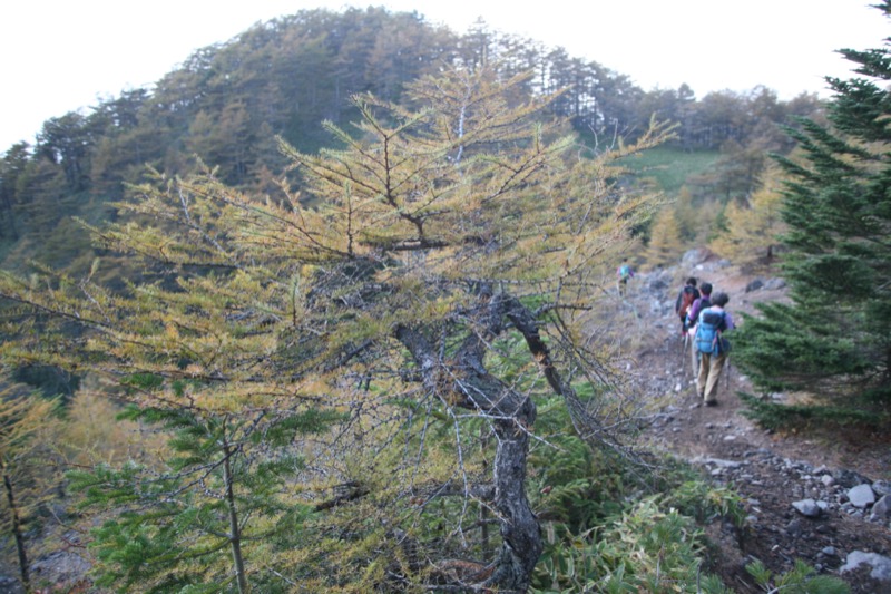 高峰高原