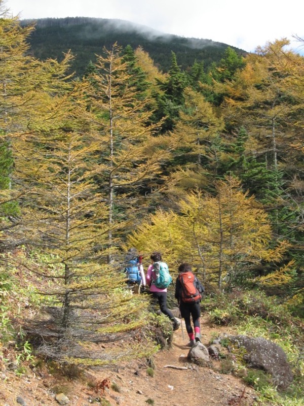 高峰高原