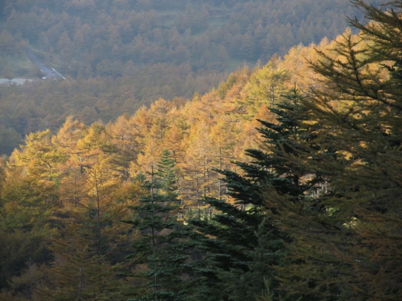 高峰高原