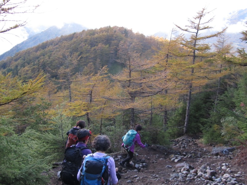 高峰高原