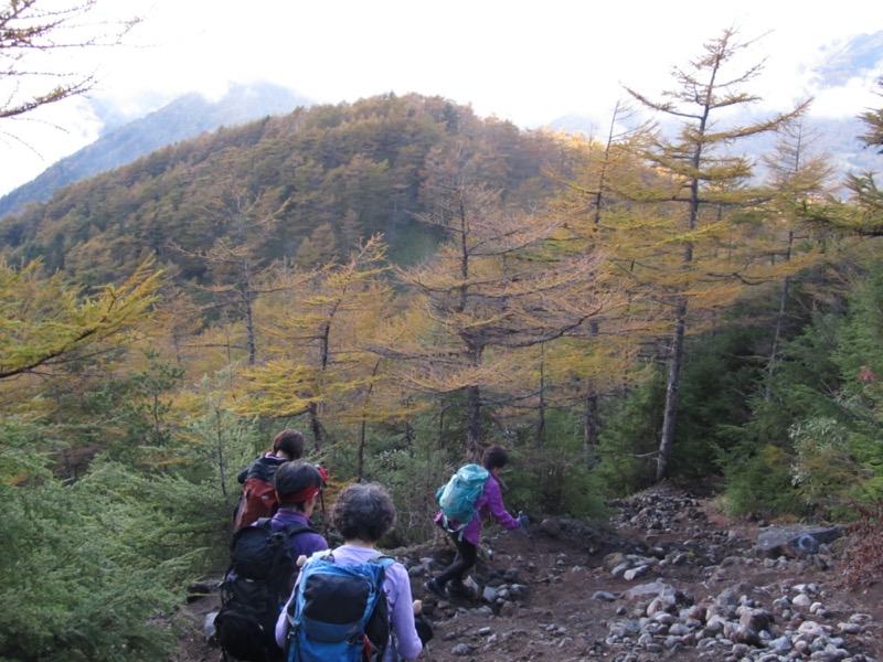 高峰高原