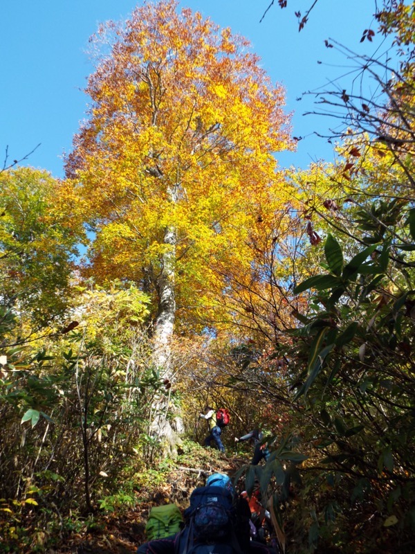 雨飾山