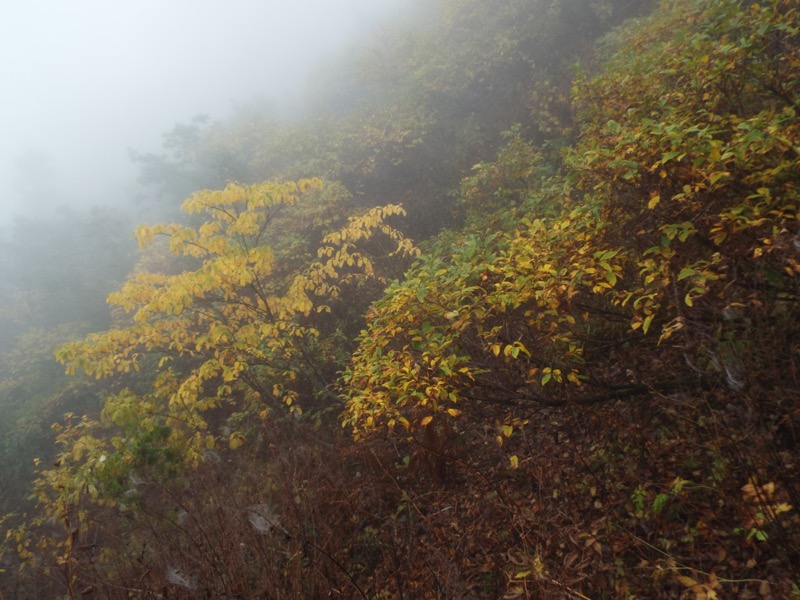 雨飾山