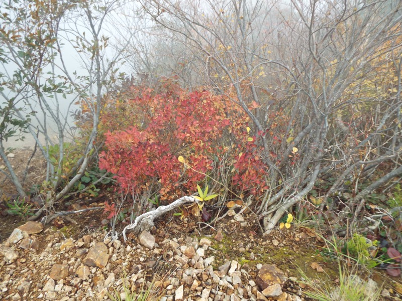 雨飾山