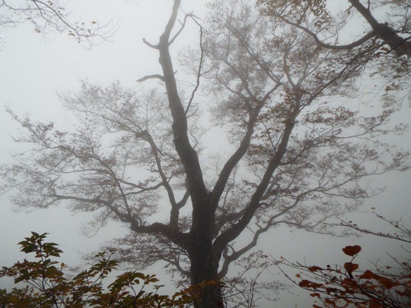 雨飾山