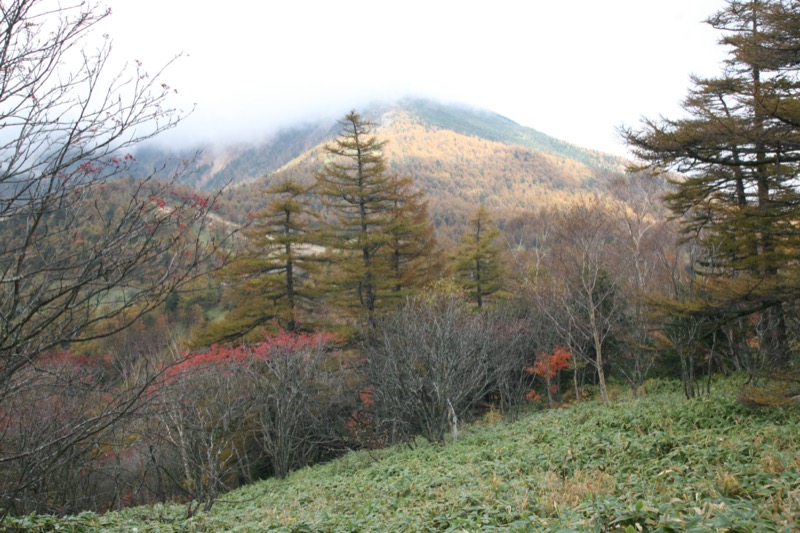 高峰高原