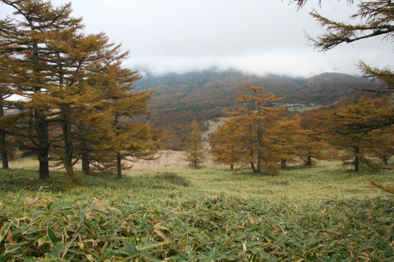 高峰高原