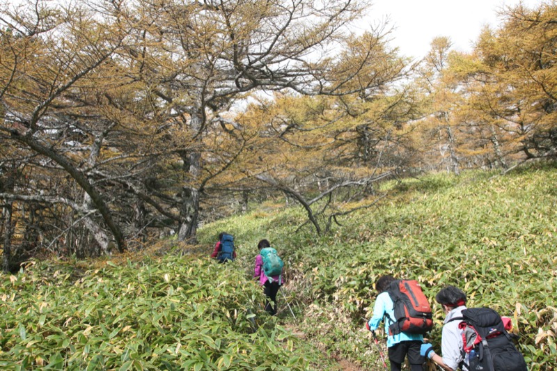 高峰高原