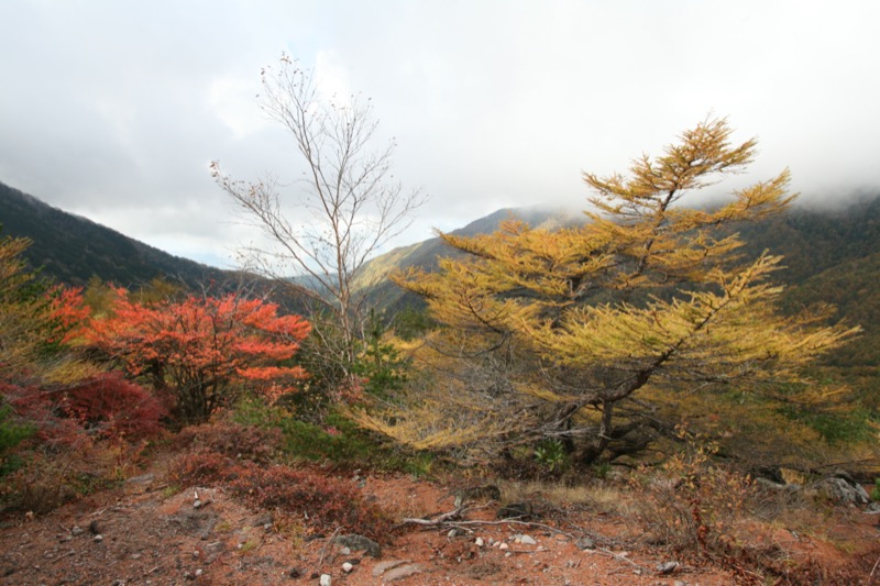 高峰高原