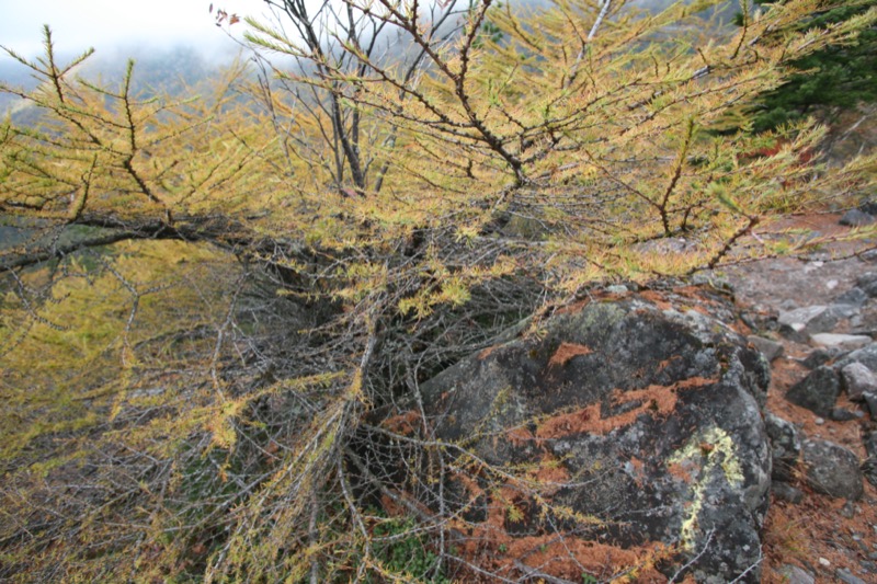 高峰高原