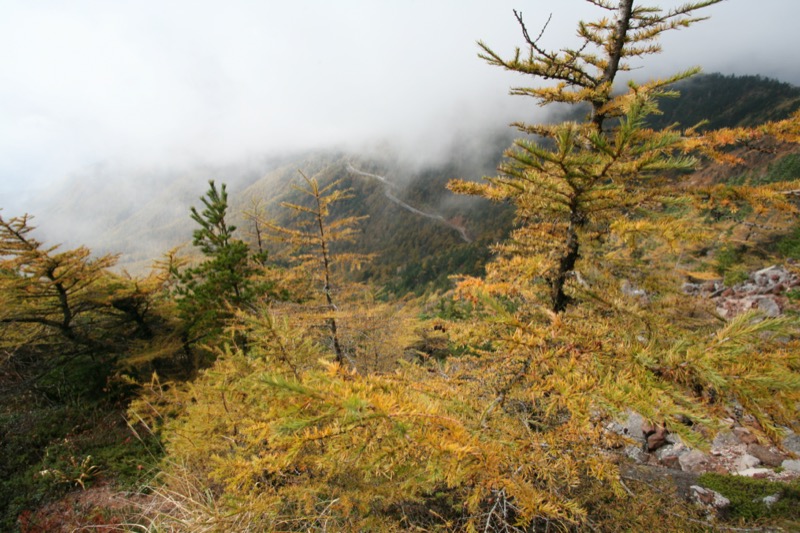 高峰高原