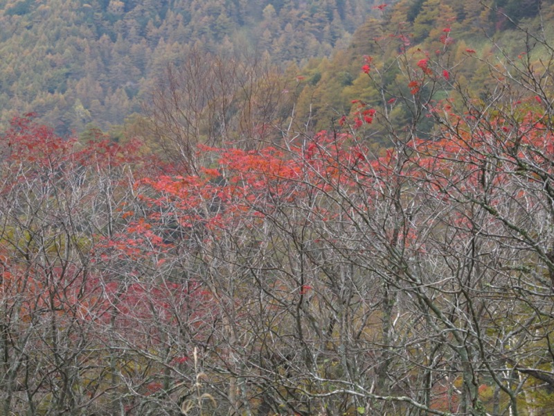 高峰高原