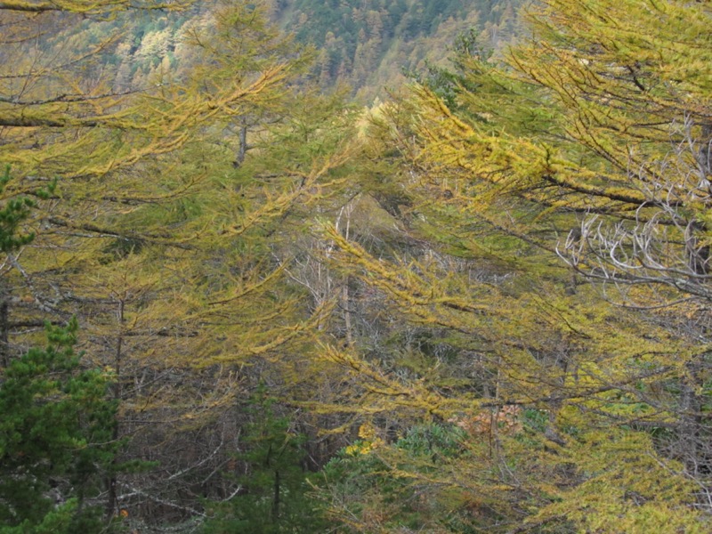 高峰高原