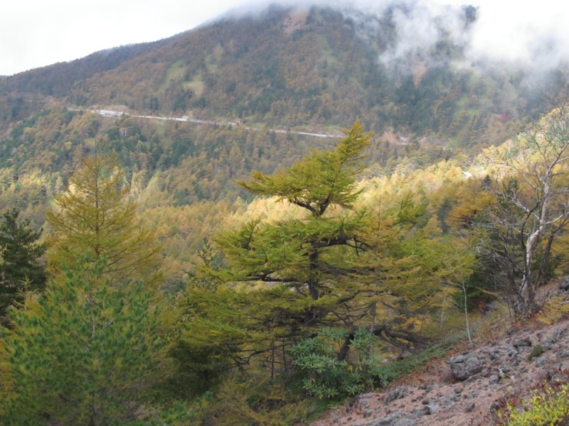 高峰高原