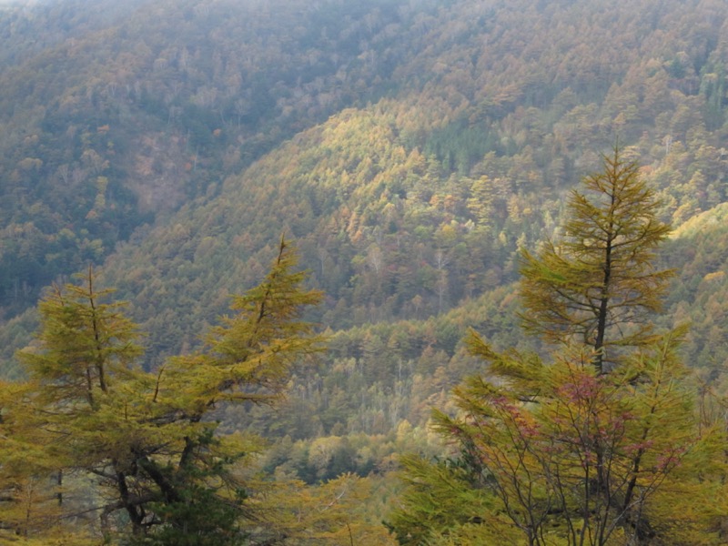 高峰高原