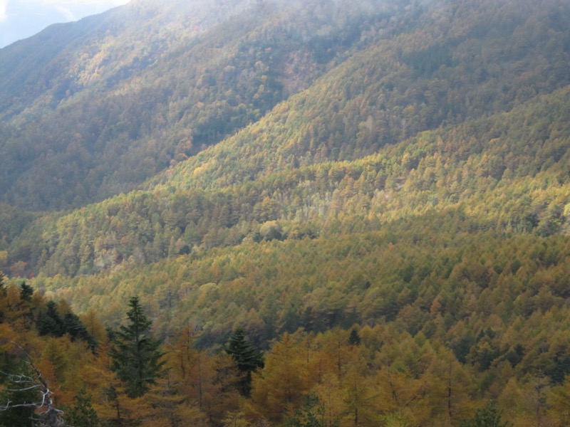 高峰高原