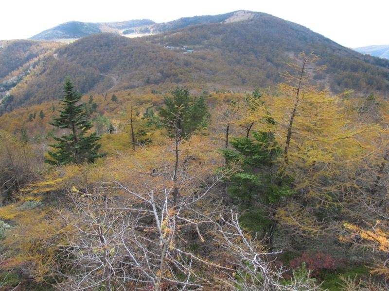 高峰高原