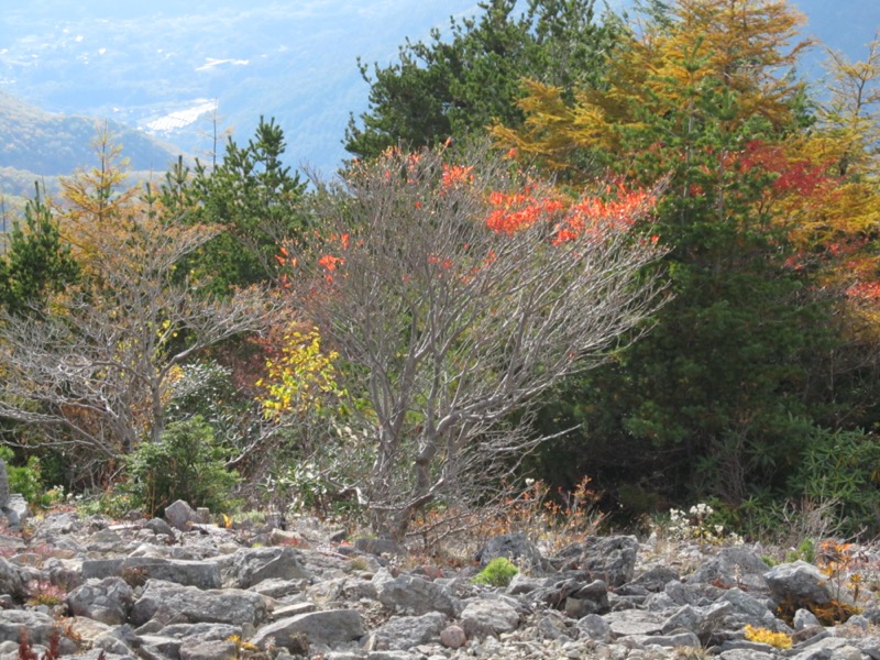 高峰高原