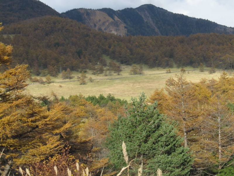 高峰高原